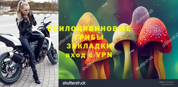 первитин Карпинск