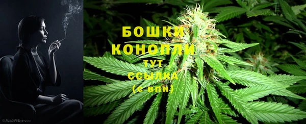 2c-b Карталы
