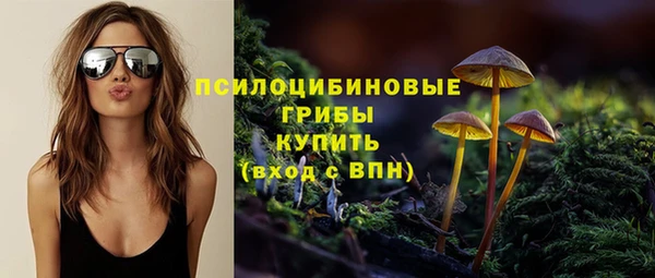 2c-b Карталы
